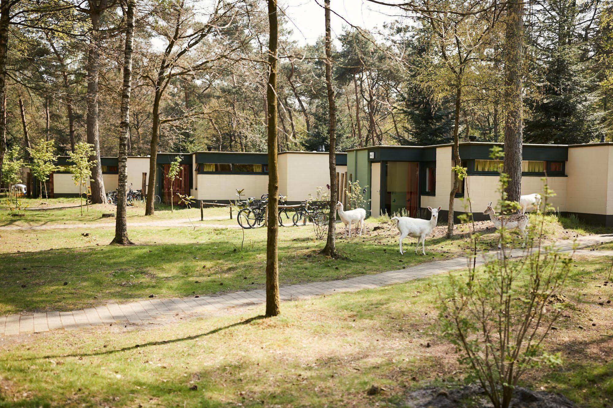 Center Parcs Meerdal Limburg-Brabant America Exterior foto